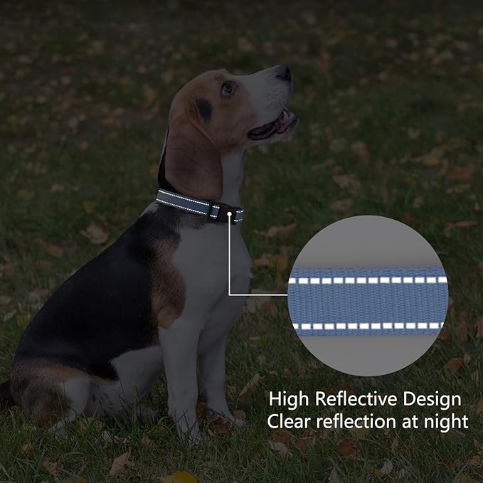 Reflective Dog Collar Padded with Soft Neoprene Breathable Quick Release Basic Dog Collars for Medium Dogs Blue Boy Girl