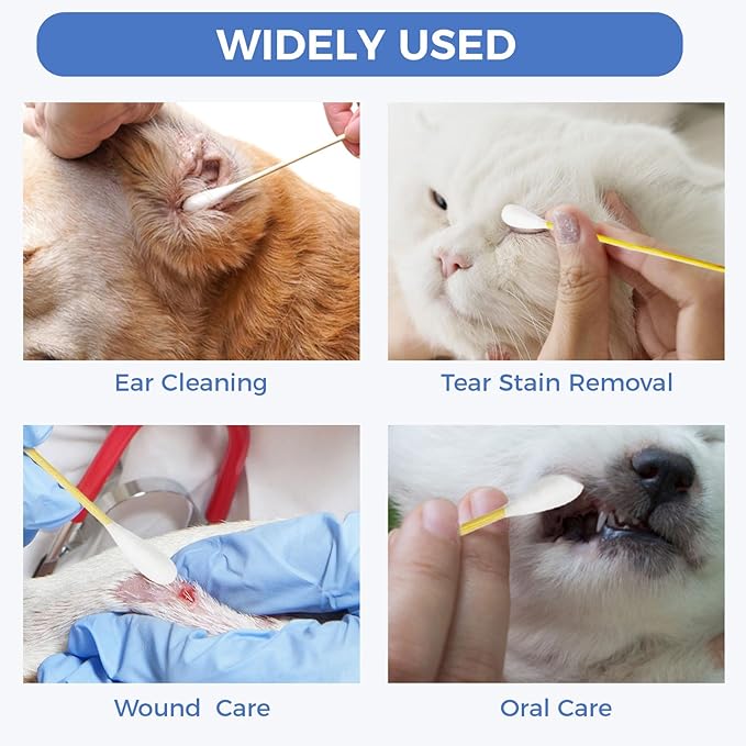 GOLD HONEY 6 Inch Large Cotton Swabs, 100PCS Dog Ear Swabs with Bamboo Handle for Dogs, Pet-Specific, Gentle Design, Lint-Free, Canine Cotton Stick Ear Cleaning
