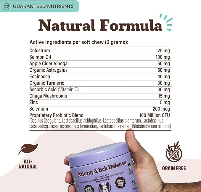 Natural Dog Company Allergy & Itch Defense Chews – Allergy Support for Dogs, Itch Relief, Skin, Coat & Gut Health with Probiotics, Colostrum & Salmon Oil, Grain-Free Dog Supplement, 90 ct