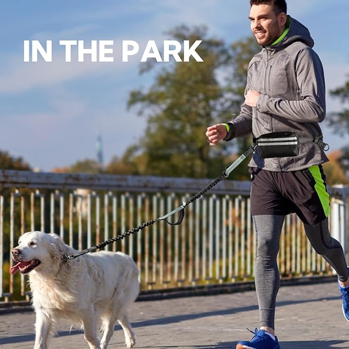 Hands Free Dog Leash with Pouch, Retractable Bungee, Double Padded Handles for Walking, Waist Leash for Medium & Large Dogs, Walking Accessories