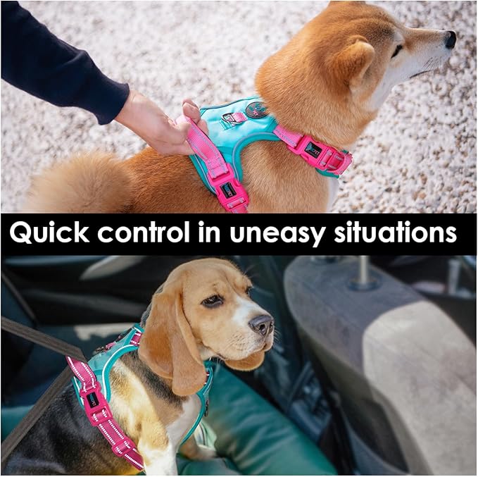 PHOEPET No Pull Dog Harness, Unique Colors Reflective Adjustable Dog Vest, with Soft Training Handle Metal Clips for Small Medium Large Dogs (Mint Green Base & Pink Straps,XL)