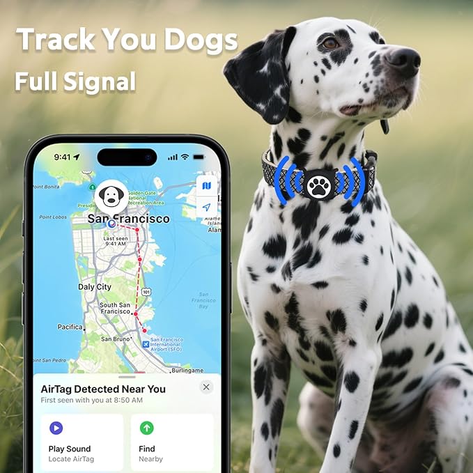 Dog Collar with Waterproof AirTag Holder & Anti-Lost QR Code, Cute Bling Warpping Adjustable Width for Small Medium Large Pet (Black, M)