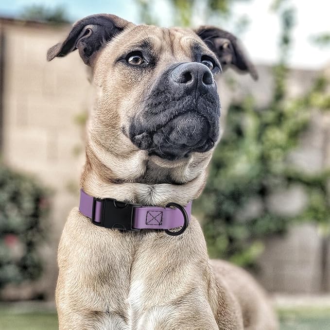 Dogline Biothane Waterproof Dog Collar with Quick Release Buckle Strong Coated Nylon Webbing with Odor- Proof for Easy Care Easy to Clean Fits Small Medium Large Dogs, Amethyst Purple 5/8" W 9-14" L
