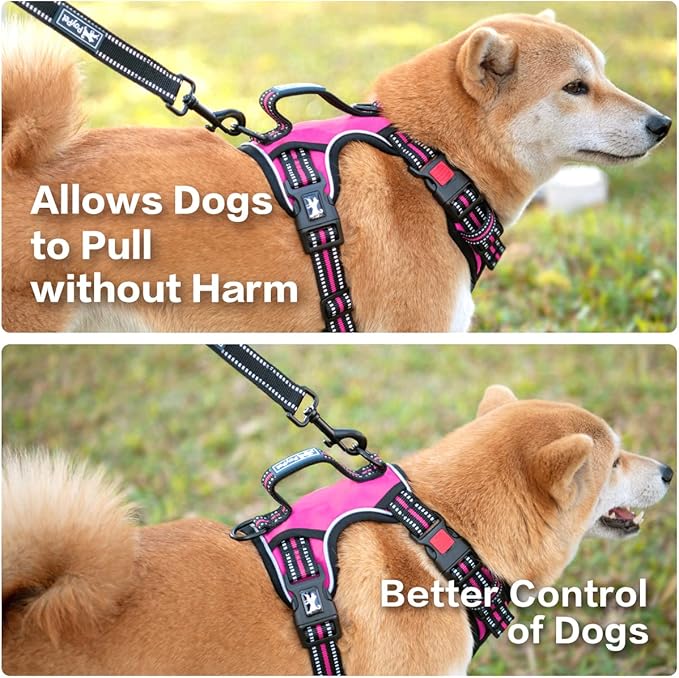 PoyPet No Pull Dog Harness, No Choke Front Clip Reflective Dog Vest with Soft Padded Vertical Handle, 3 Leash Attachments for Small Medium Large Dogs (Pink,M)
