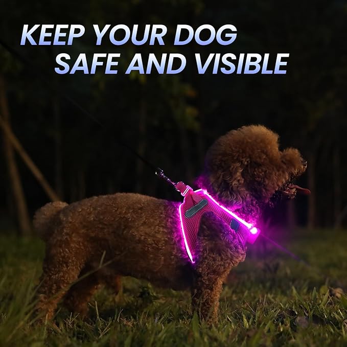Pceotllar LED Dog Harness - Rechargeable, Flashing Light, No Pull, Reflective - Medium, Pink