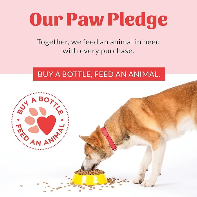 Skout's Honor Probiotic Pet Shampoo & Conditioner with Avocado Oil & Omega-3s, 97% Natural, Paraben & Sulfate-Free, Cruelty-Free, 16oz, Dog of The Woods