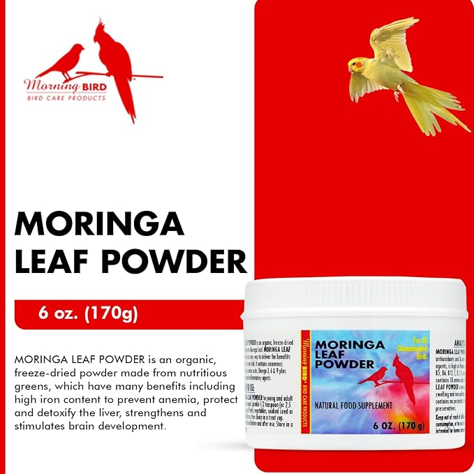 Morning Bird Moringa Leaf Powder 6 oz – Natural Food Supplement for Birds, Rich in Vitamins & Minerals, Boosts Immune System & Energy, Supports Healthy Feathers, Digestion, and Overall Avian Wellness