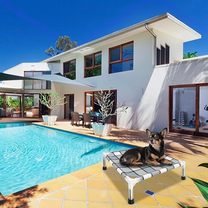 Elevated Outdoor Raised Dog Bed Outdoor Dogs Bed Lifted Pet Bed Dog Cot for Pet Taste Life, Start with A Pet Bed 20'' x 20'' x 6.5''