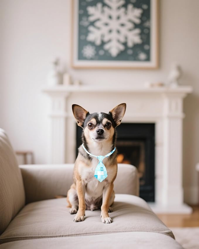 PET SHOW 10 Pack Winter Small Dog Ties Neckties for Doggies Cats Adjustable Neck Ties Girl Boy Pets Snowflake Costumes Puppy Grooming Accessories Holiday Party Gift Favor