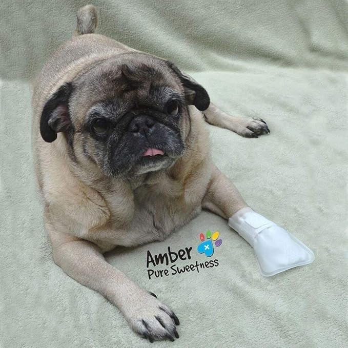 Outdoor Water Proof Cover. Slides Over MediMitts for Dogs paw (which are Sold Separately) Fastens with Medimitt Strap. Useful for hot Spots, Allergies and More. Value 20pack (Medium)