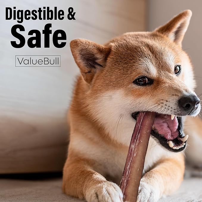 ValueBull Bully Sticks for Dogs, Thick 6 Inch, 400 Count Wholesale Pack - All Natural, Grass Fed, Single Ingredient, Long Lasting Dog Treats