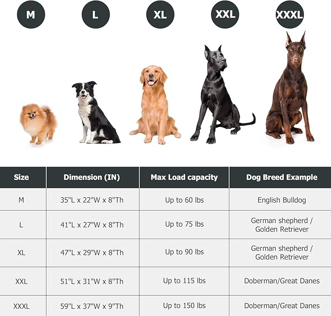 Elevated Dog Bed for Outdoor, Large Raised Dogs Cot for Training, Cooling Pet Beds with Washable Mesh, Indestructible Lifted Platform for Outside Camping, 41 inch Grey