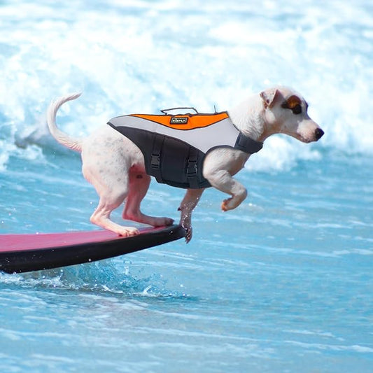 Reflective Adjustable Dog Life Jacket - High Buoyancy Swim Vest for Small Dogs, Dog Swimsuit with Rescue Handle, Pet Flotation Device for Boating, Pool, Beach(XS, Orange)