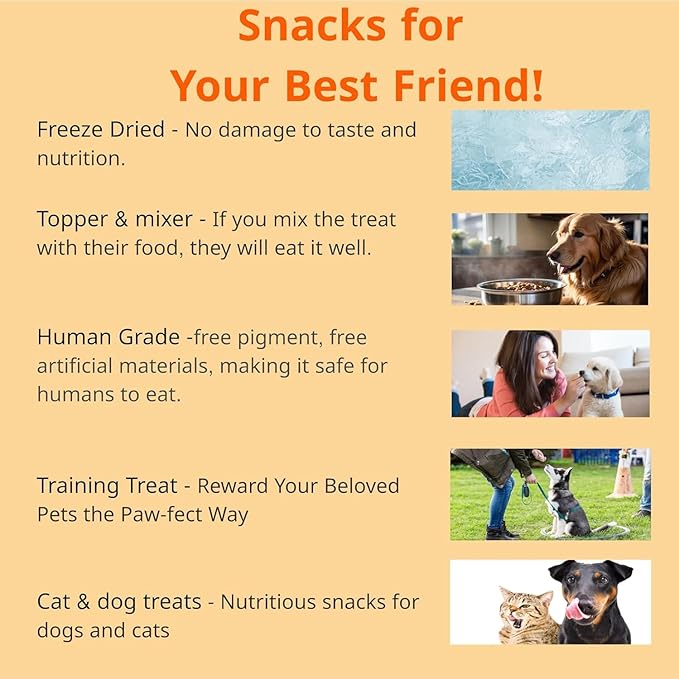 Puppyluv Treat - Freeze Dried Salmon Dog & Cat Treats, Wild Caught, Single Ingredient, Natural High Protein & Fish Oil, Grain Free Gluten Free, 3.2oz