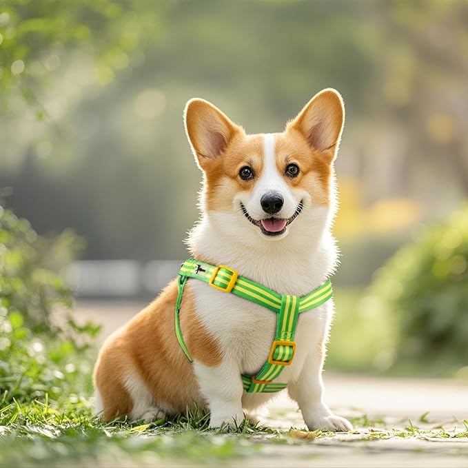 Stripe Step in Dog Harness for Small Dogs, Freedom Nylon Dog Halter Vests, Lightweight and Escape Proof Puppy Harness, Quick Fits for Small Medium and Large Dogs, Green M