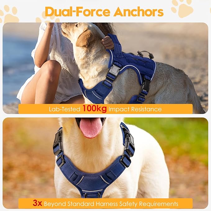 Heavy-Duty Tactical Dog Harness for Large Dogs, No Pull Adjustable Reflective Pet Vest with Molle System, K9 Military-Grade Control for Service Training, Outdoor & 10+ Breeds, Dazzling Blue, Small