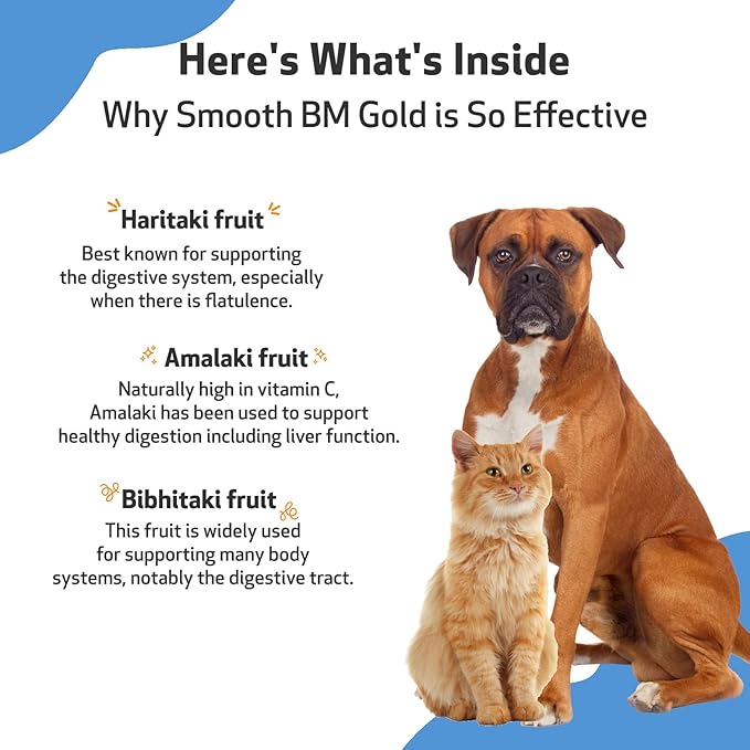 Pet Wellbeing Smooth BM Gold for Dog & Cats - Constipation Relief & Stool Softener, Supports Healthy Bowel Movements - Natural Herbal Supplement 4 oz (118 ml)