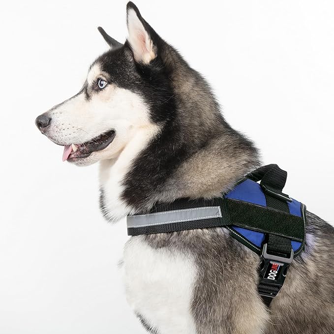 Dogline Dog Harness, Reflective No-Pull Adjustable Vest with Handle for Walking, Training, Breathable, No - Choke Harness for Small, Medium or Large Dogs Room for Patches Girth 15 to 18 in Cyan Blue