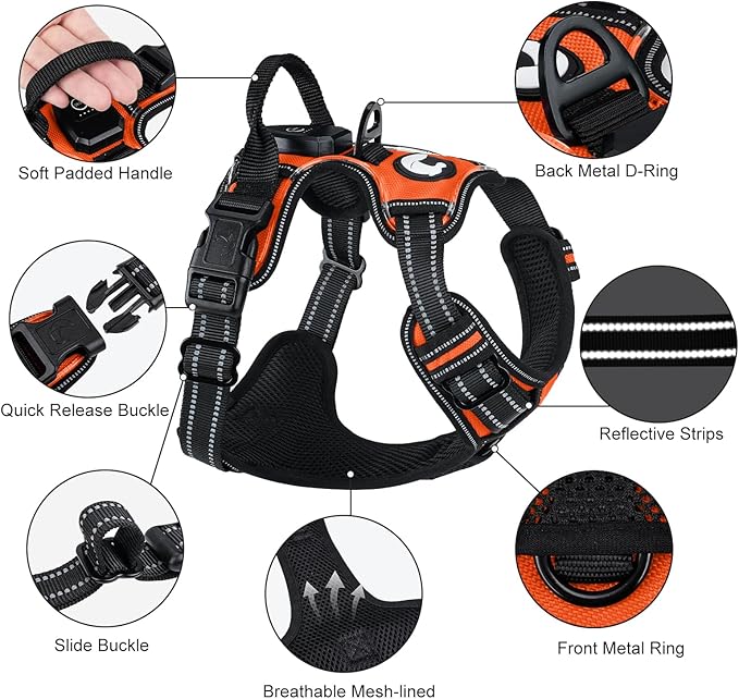 Taglory Light Up Dog Harness, Rechargeable No Pull Dog Vest with 3 Lightning Modes, Reflective Dog Harness with 2 Leash Clips & 4 Adjustable Slide Strips for Large Dogs, Orange-Orange, L