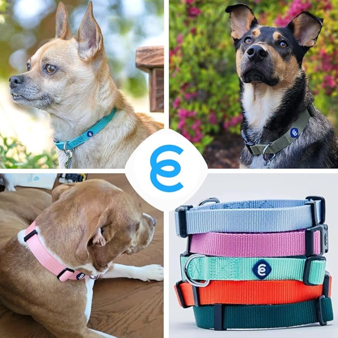 Blueberry Pet Essentials Dog Collar | Adjustable Nylon Dog Collar for Large Dogs | Classic True Navy Dog Collars for Small Dogs | Premium Pet Safety & Style with Secure Leash Attachment
