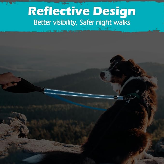 PetBonus Two Point Control Dog Leash, Works with No Pull Harnesses, No Tangle Training Leashes, Soft Padded and Reflective Walking Lead, Converts to Single Lead for Medium Large Dogs (Light Blue)