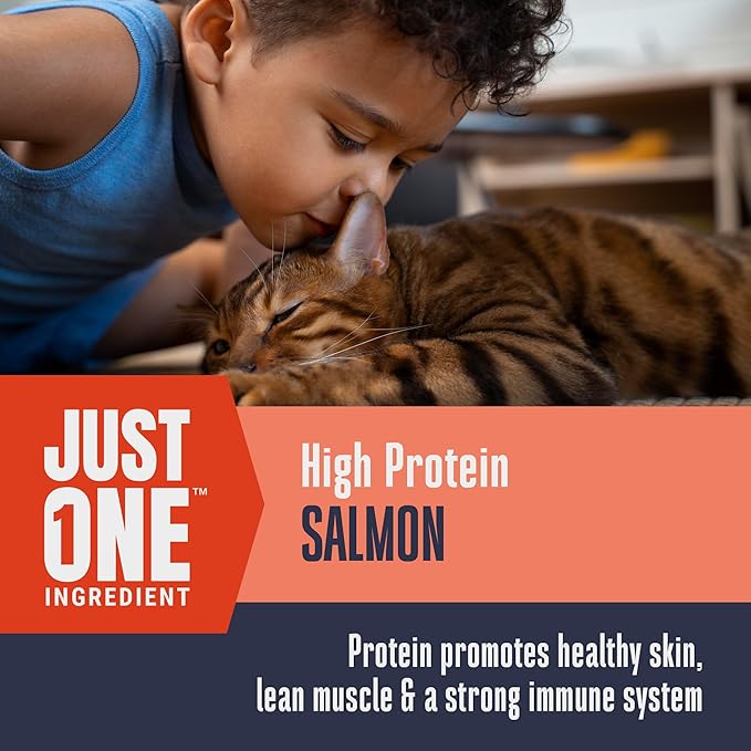 Whole Life Cat Just One Salmon Freeze Dried Cat Treats - Human Grade High Protein Food, Healthy Training Snacks, Freeze Dried Salmon Food Toppers, USA Made Natural Treats - 1 oz (Pack of 1)