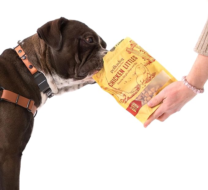 Polkadog Chicken Littles Crunchy Training Bits 3-Pack – All Natural, Limited Ingredient Healthy Training Treats for Dogs. Handcrafted in USA. Great for Dogs with Allergies – 7oz (Pack of 3)