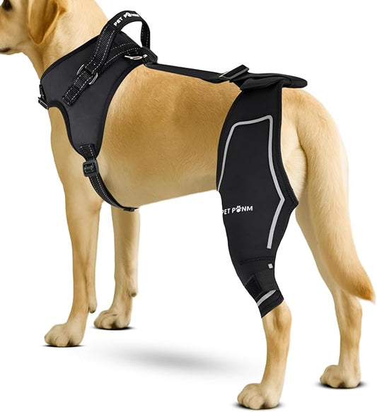 Dog ACL Knee Brace for Back Left Leg - with Integrated Harness - for Cruciate Ligament Injuries, Patellar Luxation, Post-Surgery Recovery. Durable, Breathable Material, Eases Pain - (Medium)