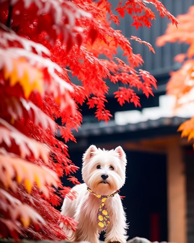 PET SHOW 10 Pack Thanksgiving Small Dog Ties Neckties for Doggies Cats Adjustable Holiday Grooming Accessories Neck Ties Bowties Girl Boy Pets Festival Costumes Puppies Party Gift Favor(Small)
