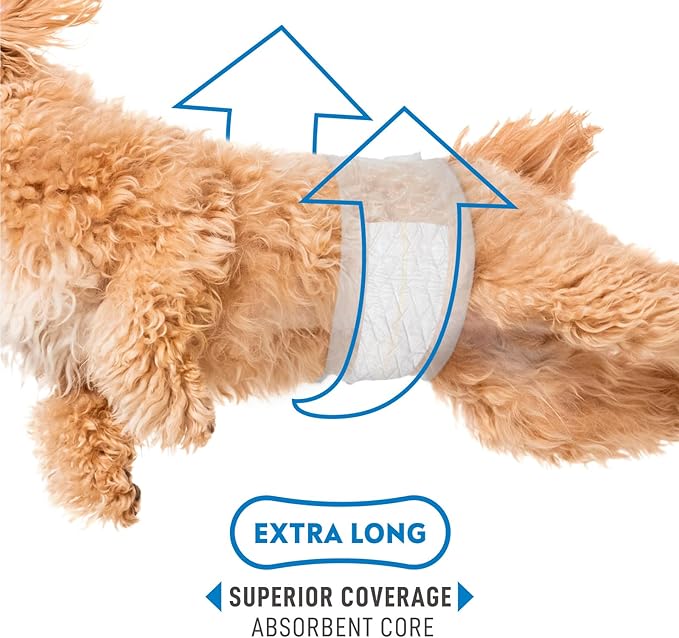 Paw Inspired Select Fit Male Dog Diapers, Disposable Male Wraps with Wetness Indicator| Belly Bands for Small, Medium, Large Dogs (Large, 20 Count)