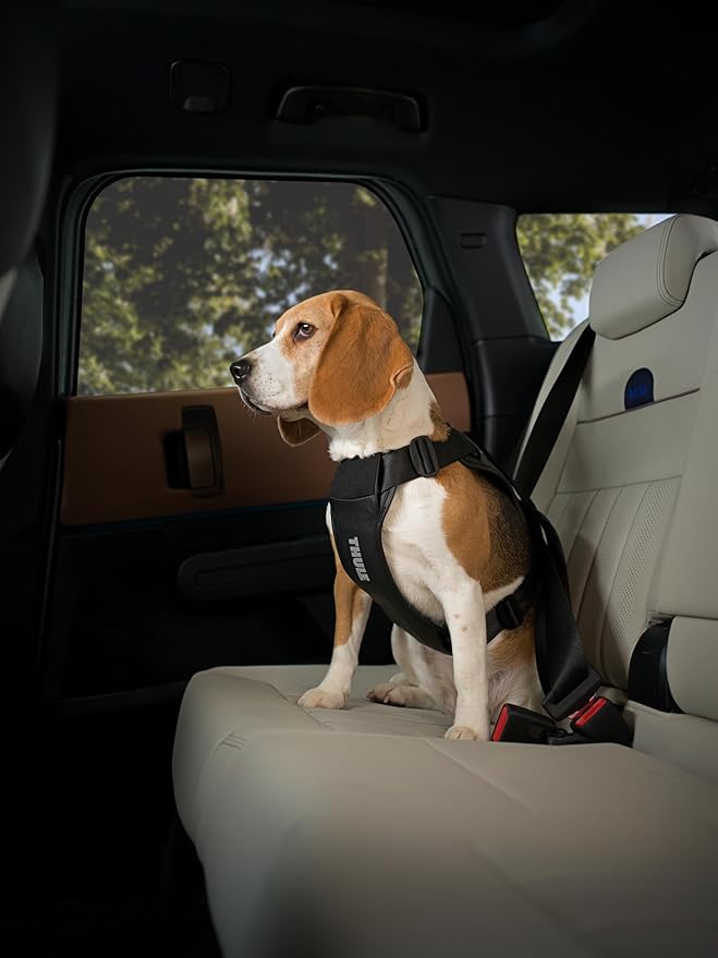 Thule Cappy Dog Harness S - Crash-Tested for Safety - Seatbelt passthrough - Adjustable & Easy to Clean - Padded Breathable mesh Panels - Leash Loop - Step-in Design