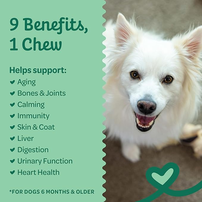 Wholesome Pride 9-in-1 Dog Multifunctional Soft Chews – Joint Pain Relief, Hip & Joint Support, Immune, Skin, Gut, Heart, Brain Health – Glucosamine, MSM, Chondroitin – 90 Chews
