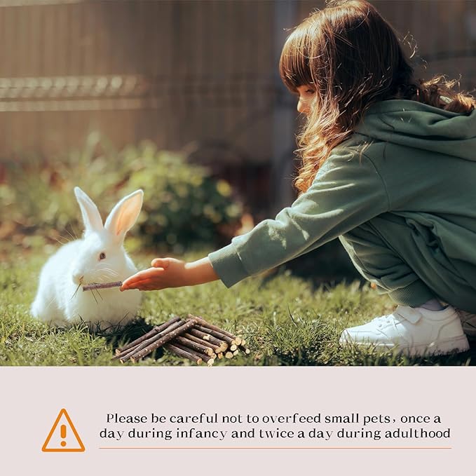 Rabbit Apple Stick Chewing Toy (Small)