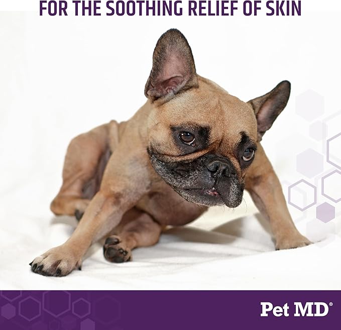 Pet MD All-in-One Derm Care - Hypochlorous Acid Spray for Dogs & All Pets - Skin Soother for Dogs & Wound Spray for Dogs - Cat Wound Care, Dog Hot Spot Remedy, & Dog Itch Relief - 4oz