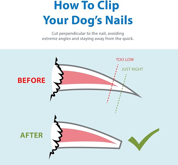 Flexzion Dog Cat Nail Clipper and Trimmer, Pet Toe Claw Scissor Grooming Tool with Stainless Steel Blades File Easy Grip Handle Safety Guard Avoid Overcutting for Small Medium Large Breed Puppy, Blue