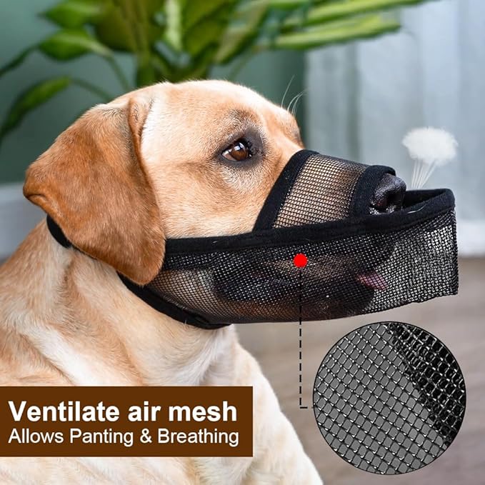 Crazy Felix Nylon Dog Muzzle for Small Medium Large Dogs Poodle Labrador Golden Retriever Doberman, Air Mesh Breathable and Drinkable Pet Mouth Guard for Anti-Biting Chewing Scavenging(L, Grey)