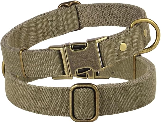 PET ARTIST Dog Collars for Small Dogs, Soft Padded Premium Nylon Dog Collar with Quick Release Metal Buckle, Durable & Adjustable Pet Collars for Boy Gifts, Green, S (Fit 10-16")