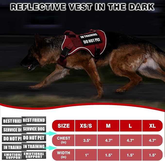 WINSEE Service Dog in Training Mesh Harness with 10 Pet Patches, Soft Air Mesh Breathable Tactical Dog Molle Vest, Reflective Military Pet Vest for Walking Hiking for Medium Dogs