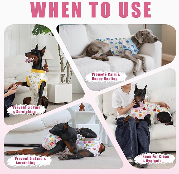 Recovery Suit for Dogs After Surgery, Professional Dog Surgical Suit for Female Spay, Male Neuter, E-Collar & Cone Alternative Dog Onesie for Abdominal Wounds Skin Disease, Fruit, S