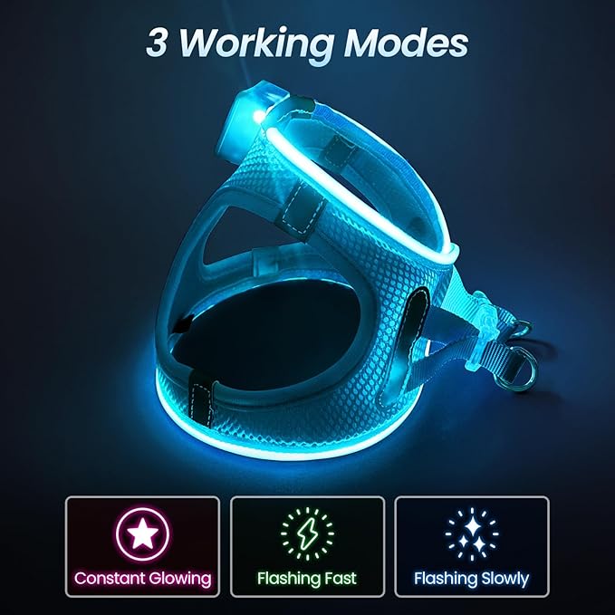 PceoTllar Light Up Dog Harness, LED No Pull Reflective Dog Harness, Flashing Lighted for Night Walking - Small/Medium, (Blue S)