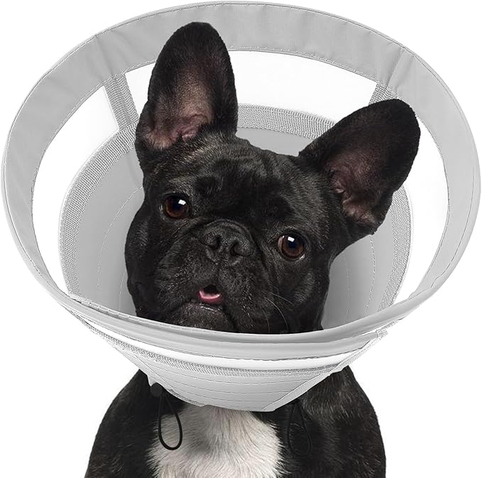 SAWMONG Soft Dog Cone for Medium Dogs, Adjustable Pet Recovery Collar to Stop Licking, Comfy Elizabeth E-Collar for Dogs After Surgery Alternative (M,Grey)