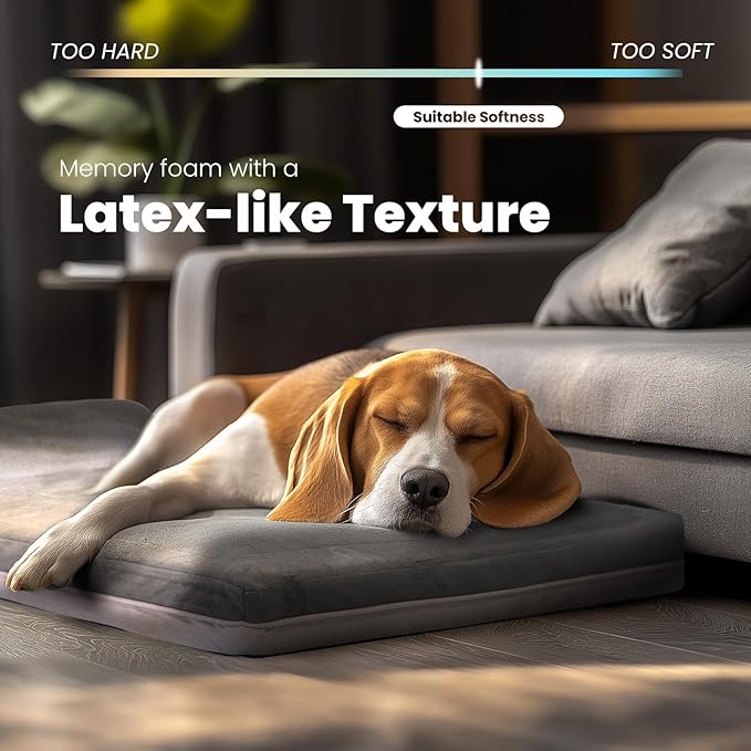 Laifug Orthopedic Memory Foam Dog Bed with Pillow and Durable Water Proof Liner & Removable Washable Cover & Smart Design Medium (34"x22"x5.5"), Grey