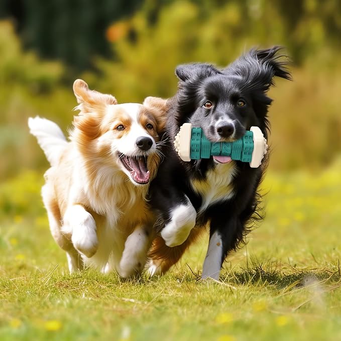 Pceotllar Indestructible Dog Chew Toys, Interactive Puzzle Toys with Beef Flavor, Safe Rubber for Aggressive Chewers - Large, Medium, Small Dogs - Green