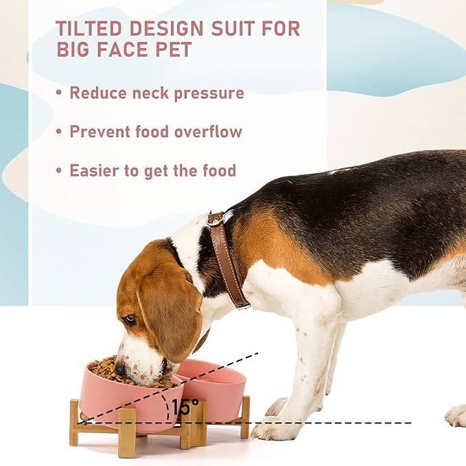 SPUNKYJUNKY 15° Slanted Ceramic Dog and Cat Bowl with Wooden Stand, Tilted Bulldog Food and Water Bowl No Slip Non-Spill for Cats Medium Dogs Big Face Pets 28.7 OZ (3.6 Cups, Pink × 2)