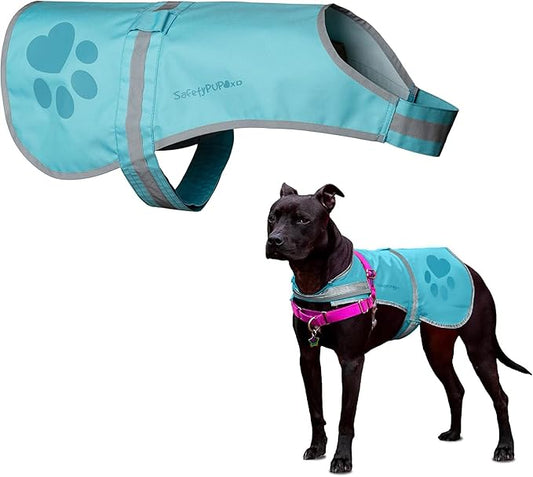 Dog Reflective Vest – Hi-Vis Fluorescent Visibility That Helps to Safeguard Your Pet On/Off Leash in Urban & Rural Areas (Teal, Small)