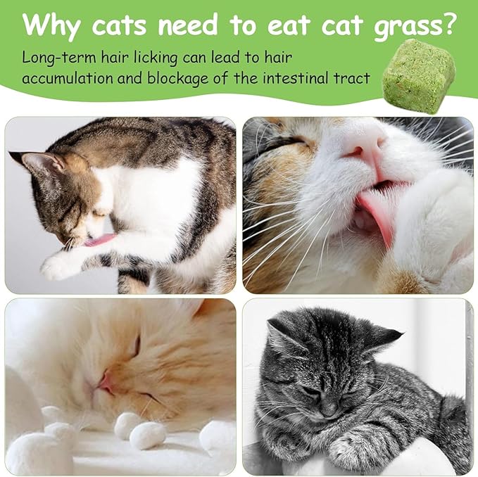 HavenJanny 60g Cat Grass Treats for Cats, Freezed Drying Cat Grass Teething Stick Snacks for Kitty, Edible Cats Chew Toys for Teeth Cleaning and Hairball Removal