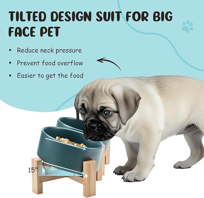 SPUNKYJUNKY 15° Slanted Ceramic Dog and Cat Bowl with Wooden Stand, Tilted Bulldog Food and Water Bowl No Slip Non-Spill for Cats Medium Dogs Big Face Pets 13.5 OZ (1.7 Cups, Green × 2)