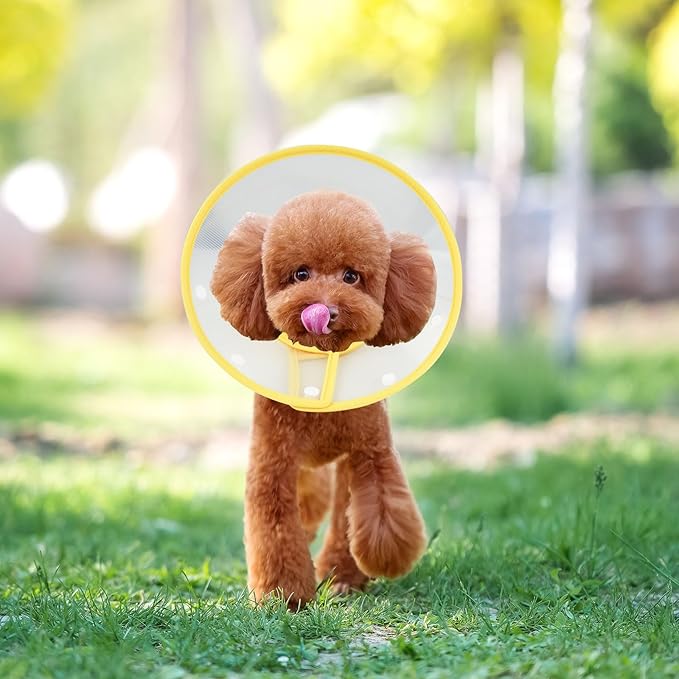 Pet Cone Recovery Dog Cone Adjustable Dog Collar Clear Padded Collar with Breathable Soft Edge, Plastic Puppy Cone Protect The Neck Surgery Recovery, Designed for Cats and Puppies (Yellow, S)