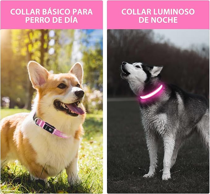PcEoTllar Light up Dog Collar for Night Walking - LED Dog Collar Light Rechargeable Color Changing, Glow in The Dark Dog Collars Waterproof Glowing Dog Collars for Large Small Medium Dogs