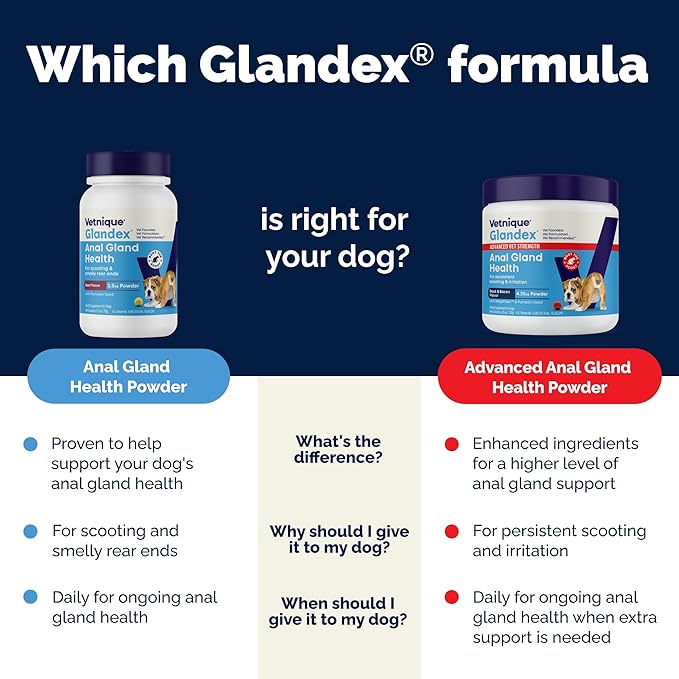 Glandex Dog Fiber Supplement Powder for Anal Glands with Pumpkin, Digestive Enzymes & Probiotics - (Regular or Advanced Strength) - Boot The Scoot (8.5 oz, Advanced Strength Duck & Bacon)